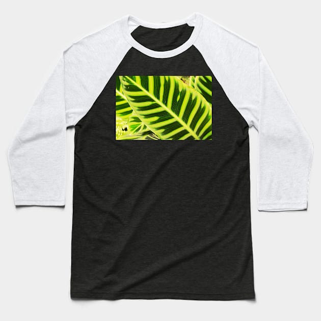 Leaf Baseball T-Shirt by thadz